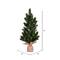 19" Unlit Balsam Fir Sapling Artificial Christmas Tree